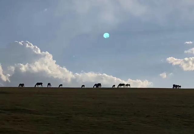 少年骑马去越野,自驾15天横穿小国家,硬核车手爸爸还输了