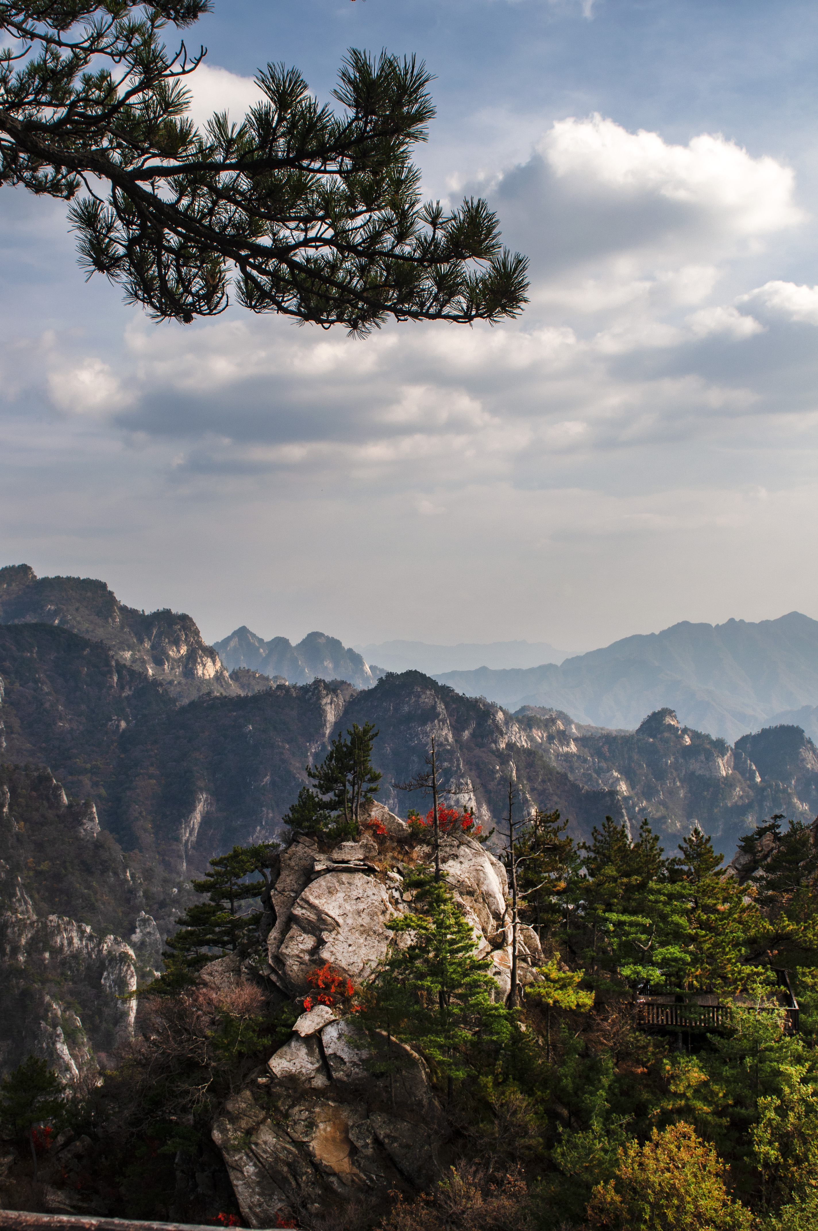 老界岭夏日风景,深秋山里的风景