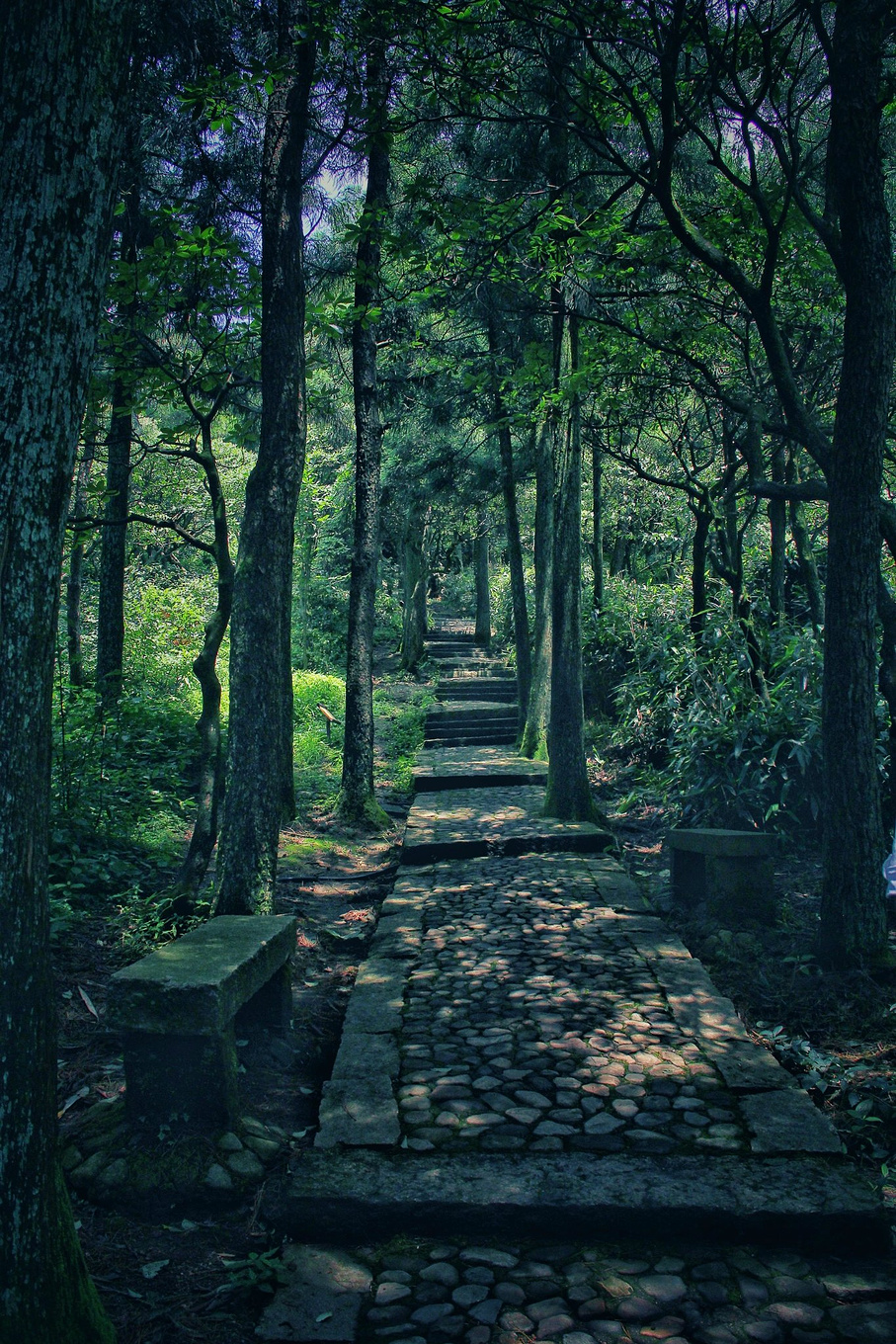 天台华顶山森林公园历史,李白来过天台吗