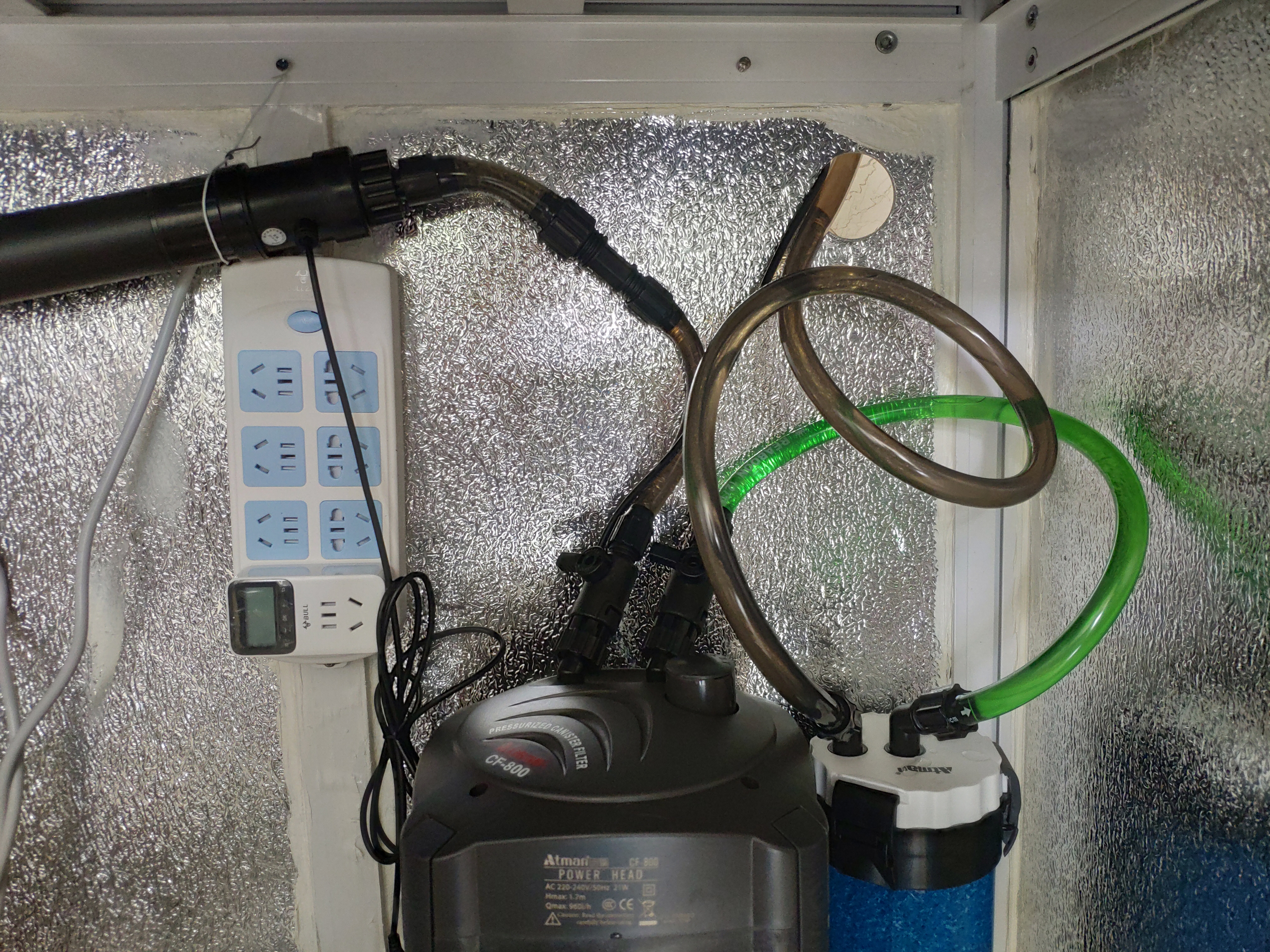 入坑草缸你准备好了吗,草缸入坑观赏鱼