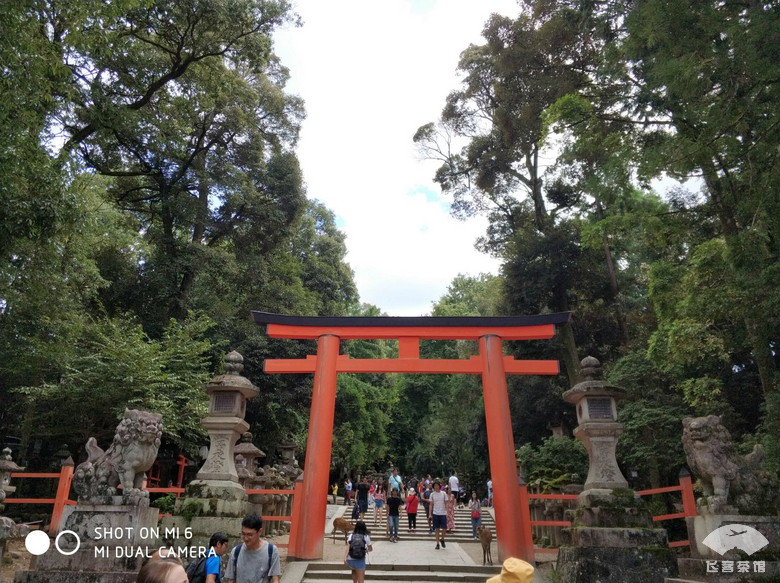 国航白金卡头等舱,国航白金卡选座