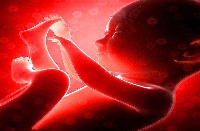 胎心监护要知道的事,有关胎心的科普