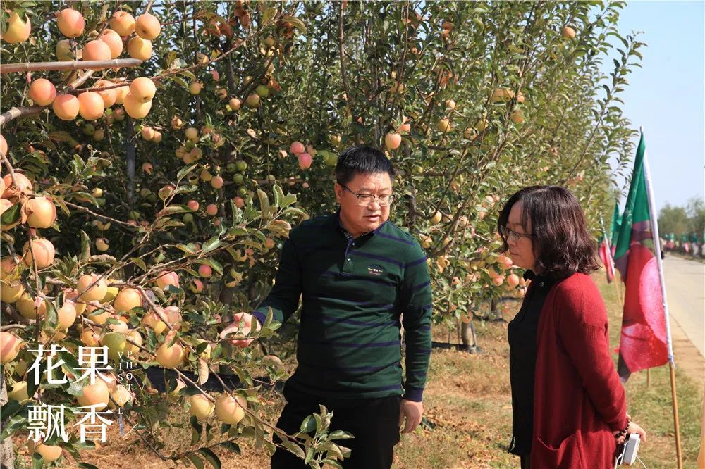 一箱鲜橙多利润,一箱水果利润多少