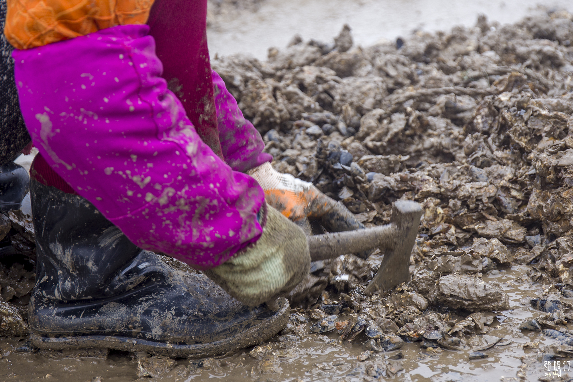乳山为什么是长寿之乡,威海乳山市的海景房