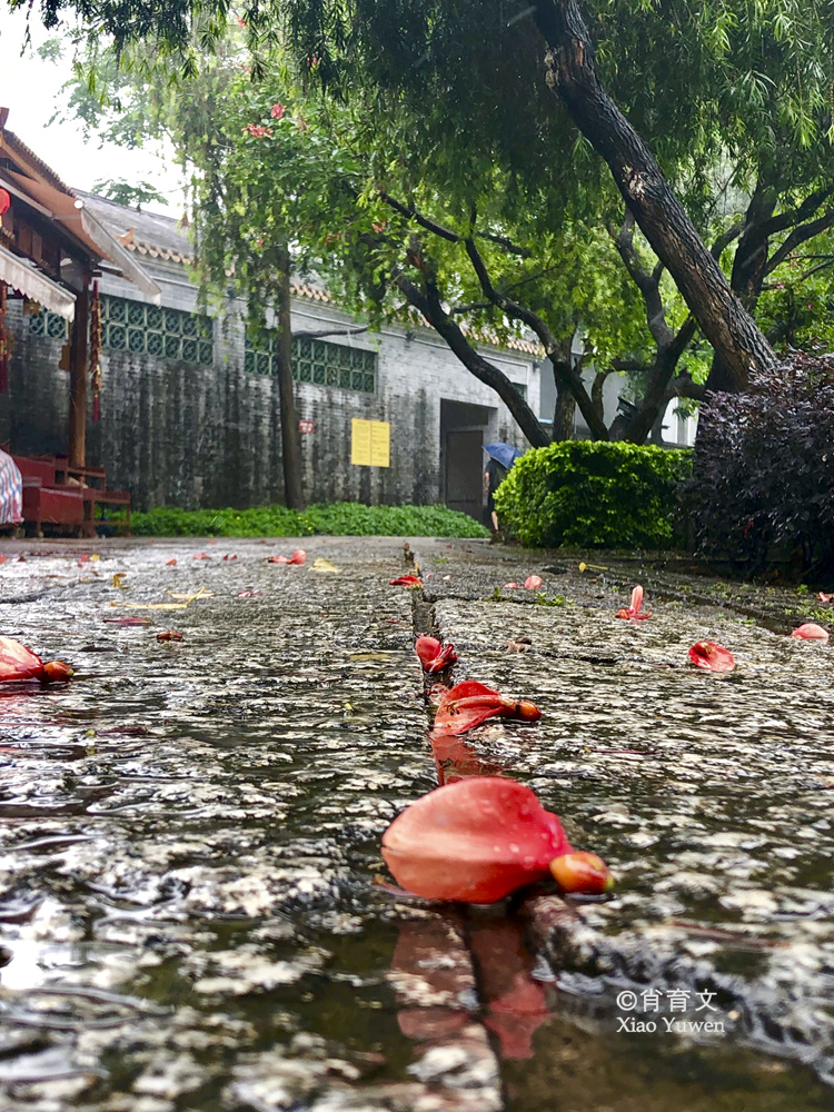 顺德逢简水乡，那一片小桥流水人家的风光，是古桥古屋古木的桃源