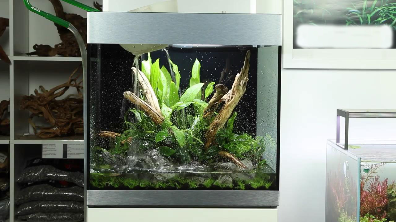 鱼缸造景水草需要二氧化碳吗,胶粘完水草可以直接放在鱼缸里吗