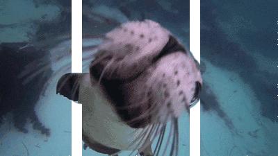 儿童花钱学游泳有必要吗,孩子学游泳需要买什么