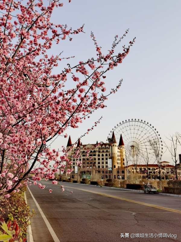 陕西眉县撤县最新消息,眉县撤县设市最新信息