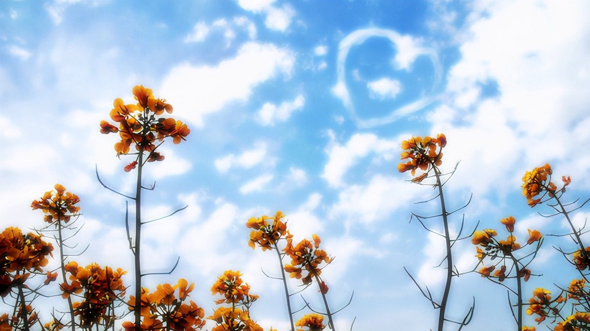 诗经中有关鼠的诗句,硕鼠诗经名句