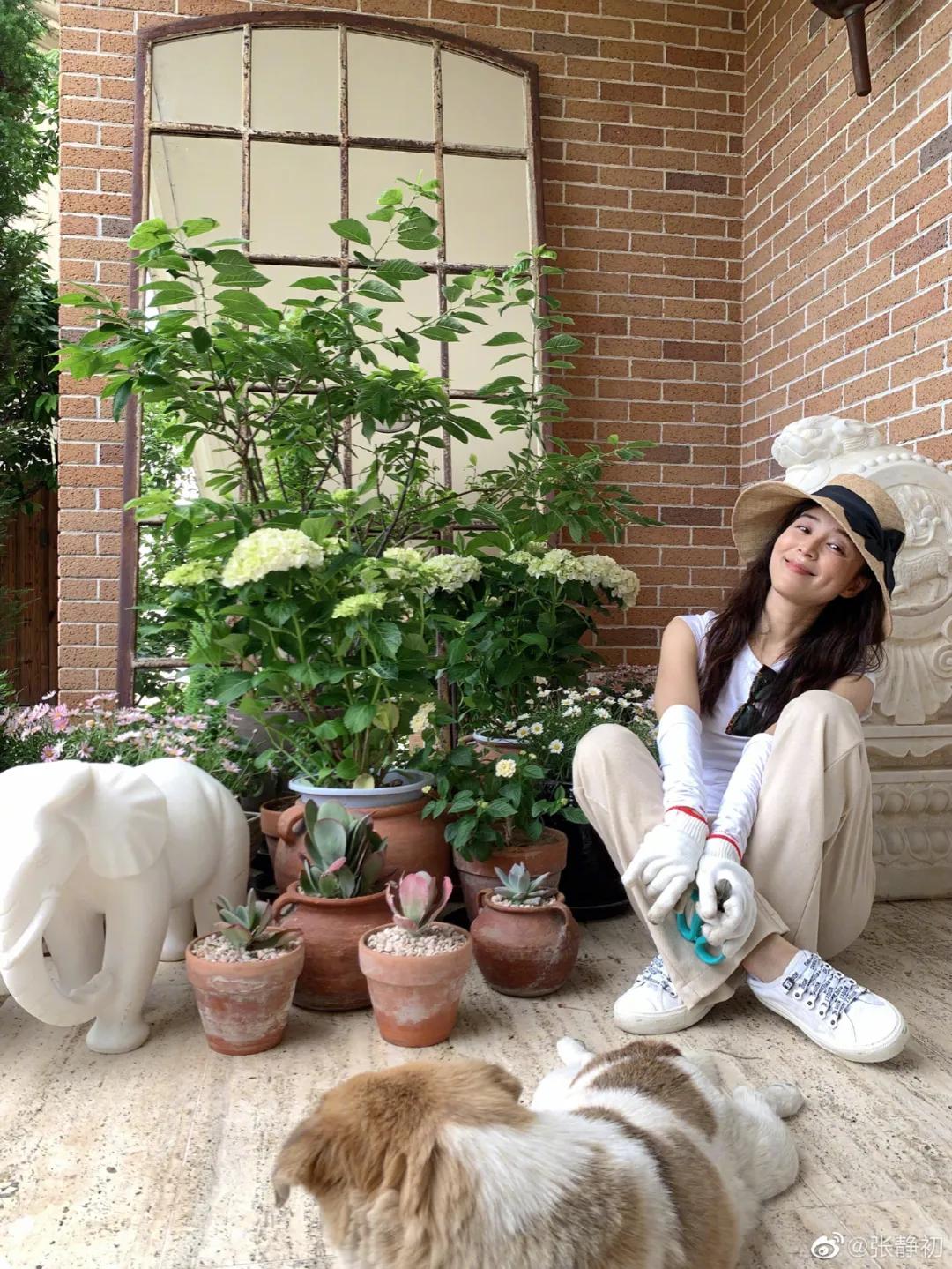 消失6年后,张静初单身生活首曝光!独居大House,与满屋破烂作伴