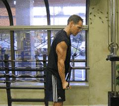 马甲线鲨鱼线区别图片,人鱼线跟马甲线都长什么样子