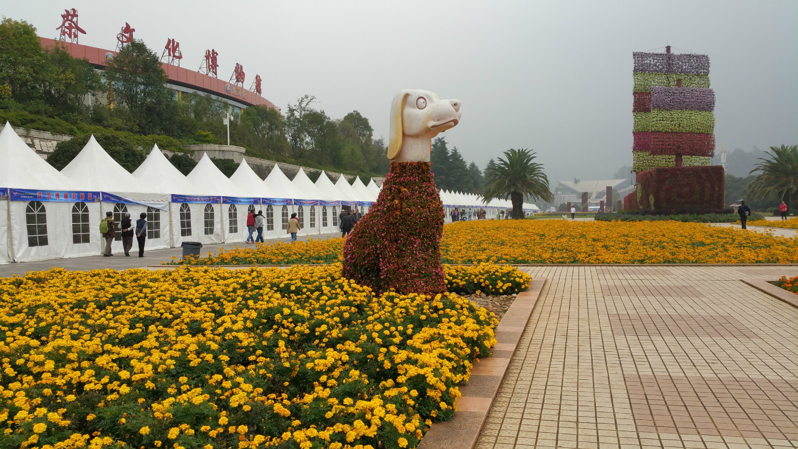 云南山歌昆明有个世博园,云南昆明世博园关闭了吗