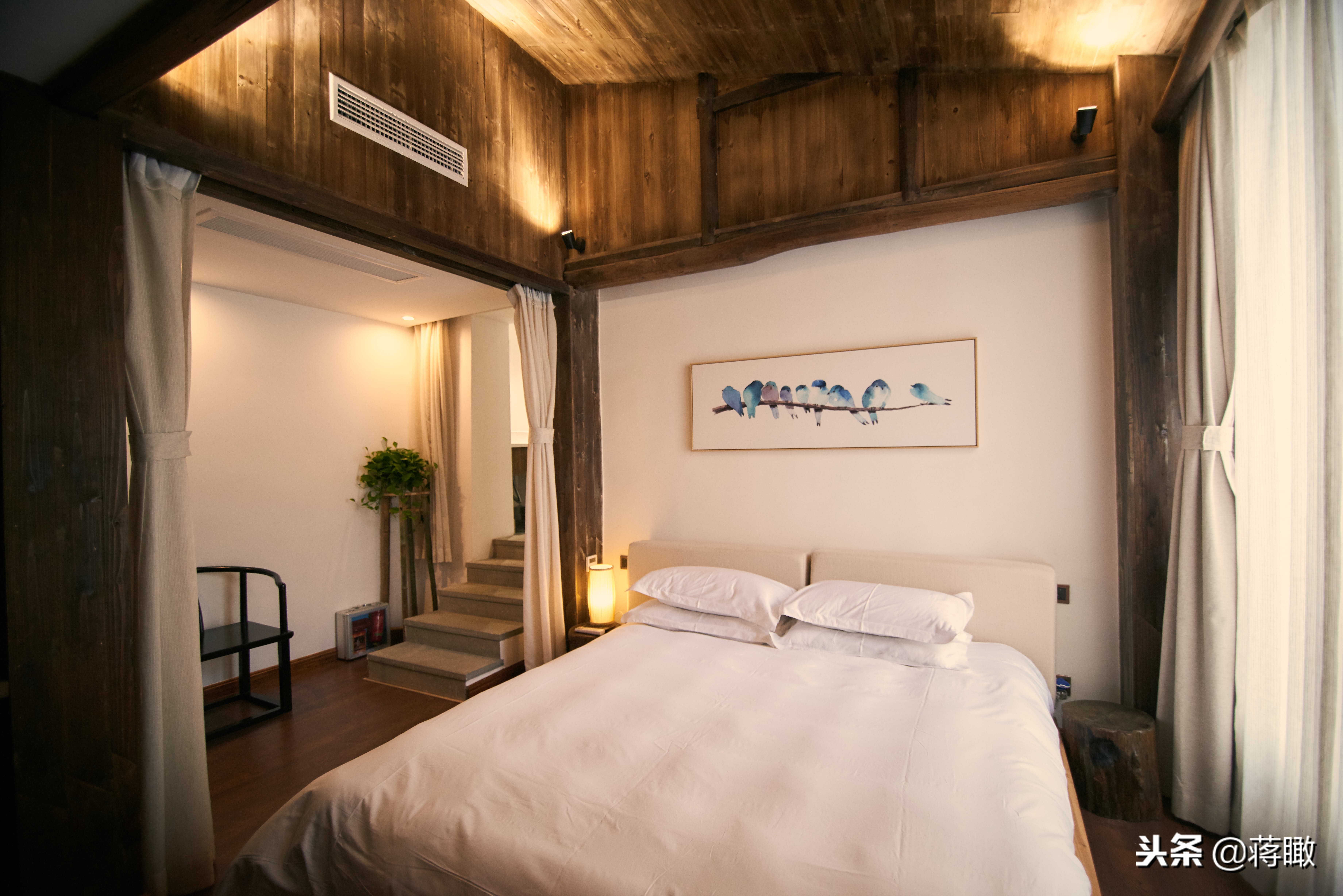 松阳，会是下一个理想国么？