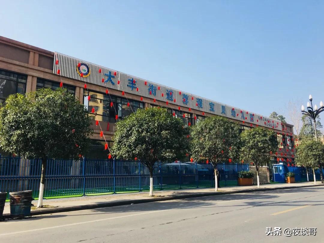 大丰区哪个幼儿园好,大丰公益性幼儿园有哪些