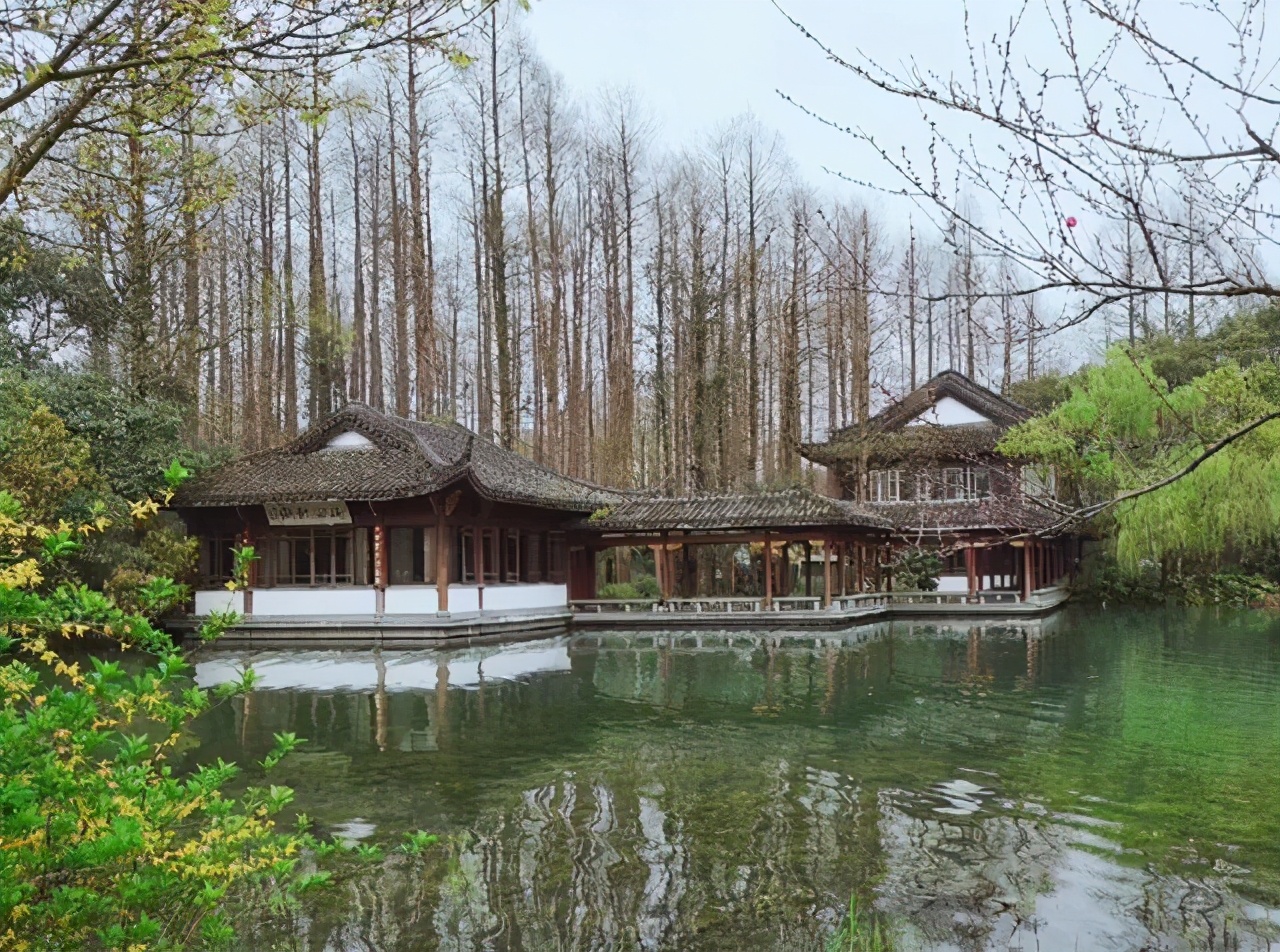 浙江大型森林公园,杭州免费超级大公园