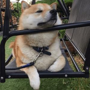 别再花样作死了，好好“跑毒”，姨妈期不碰“毒圈”求生指南