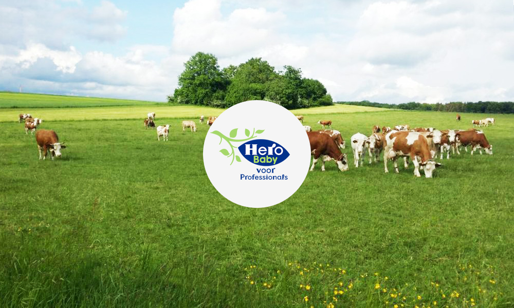 荷兰美素佳儿婴儿奶粉怎么样,荷兰美素怎么这么便宜