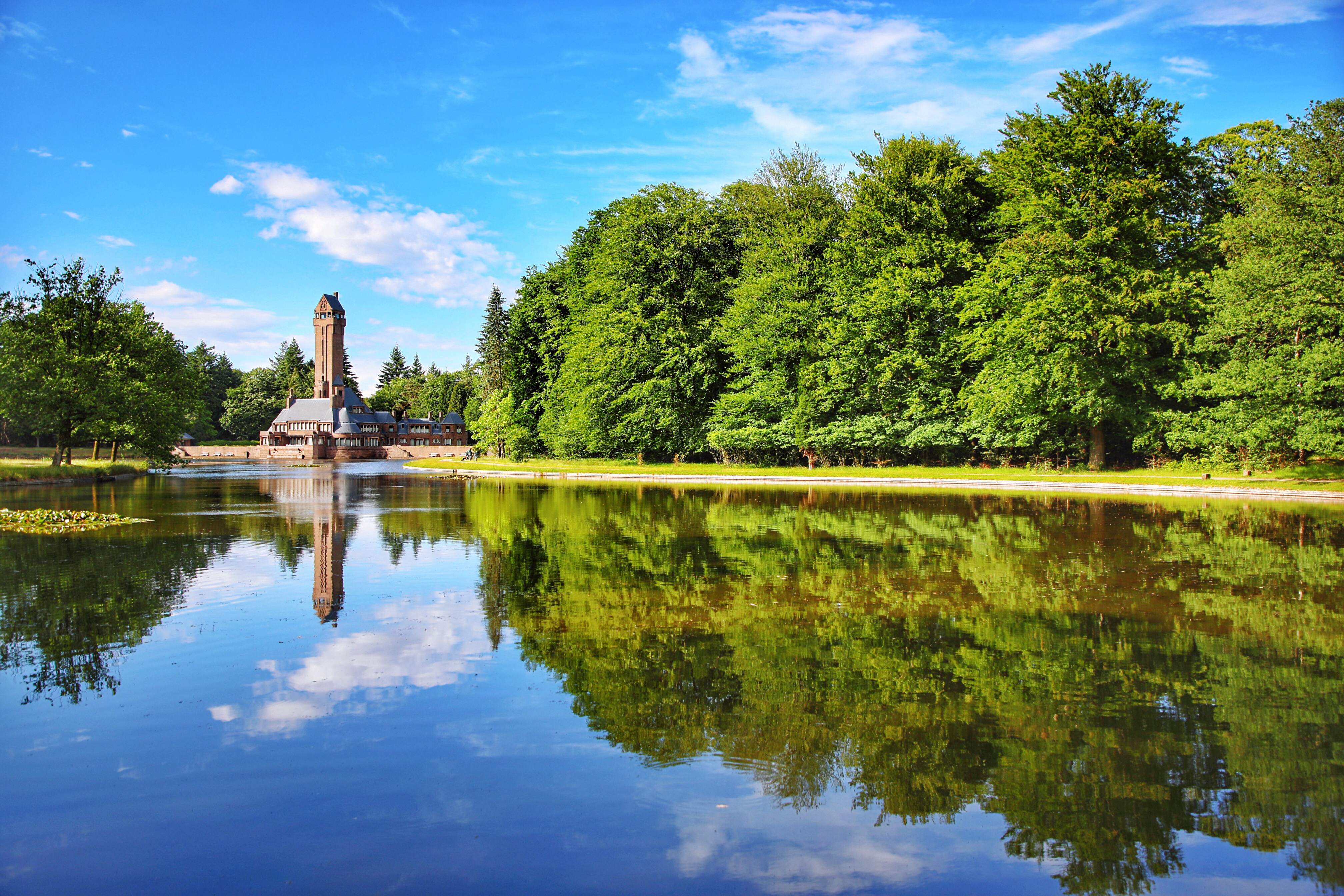 你真的了解荷兰吗,你真的了解郁金香吗