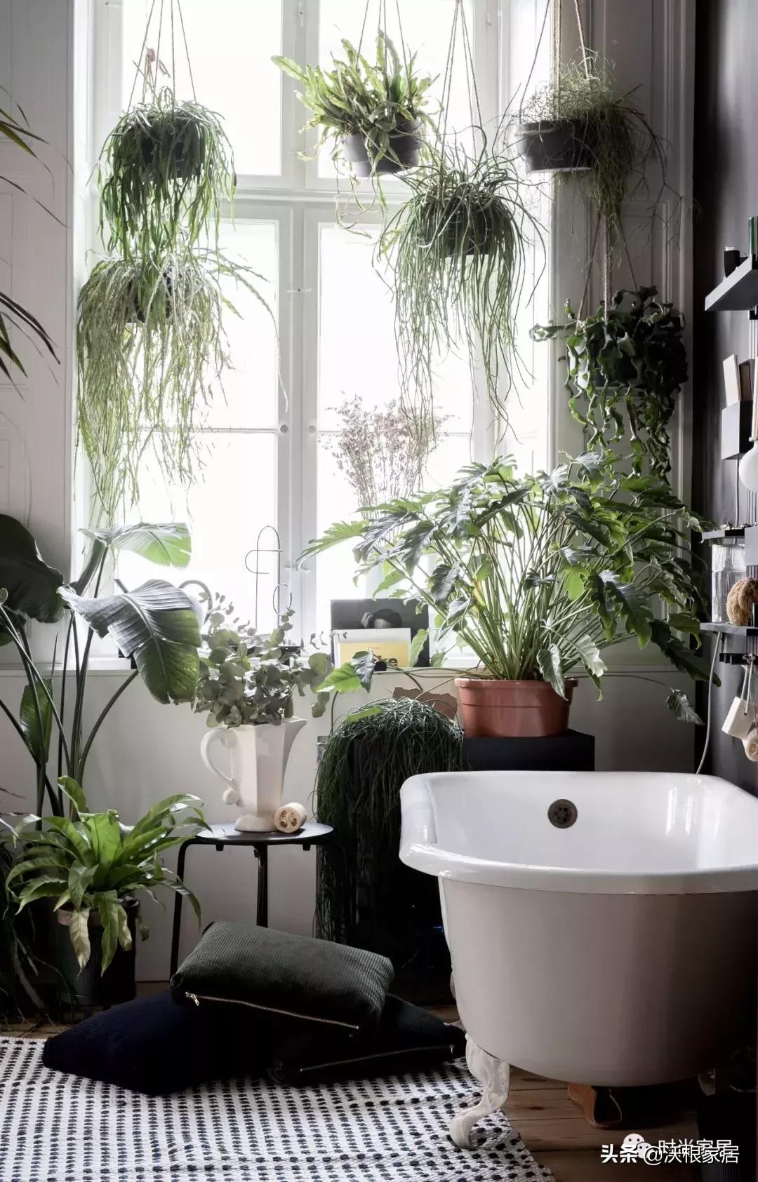 马上启动~今夏浴室减龄计划~