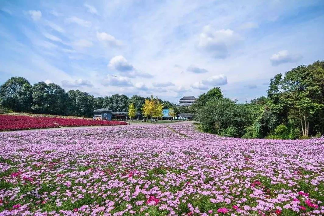 云游中国四川,云游四川
