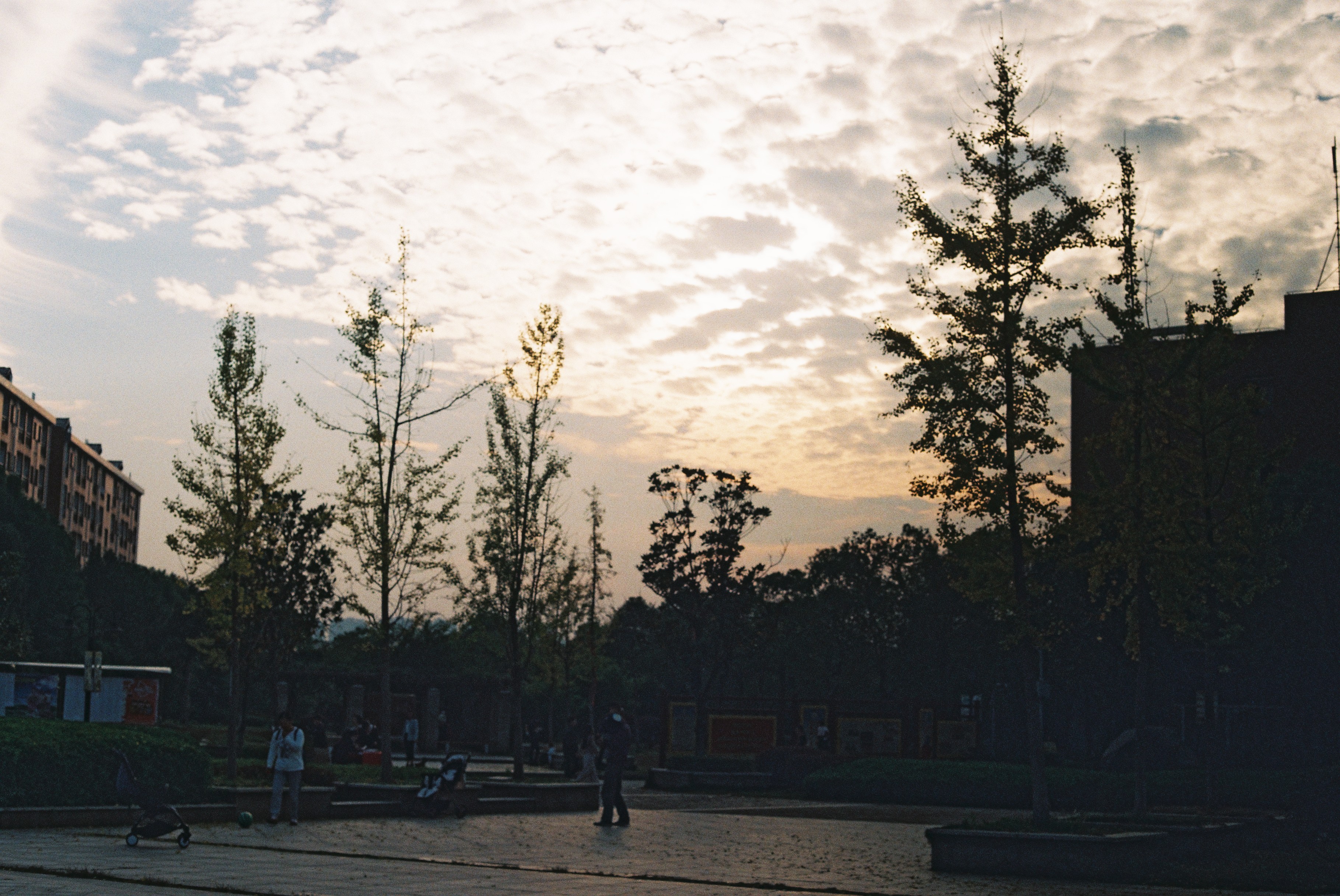 胶片拍出来不晒是什么样子的,日系胶片拍摄过程