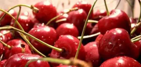 陕西樱桃采摘季节是几月份,陕西最近摘樱桃的地方