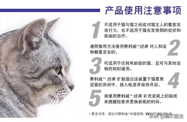 你的猫可能正在抑郁的深渊中挣扎,你家的猫会抑郁症吗