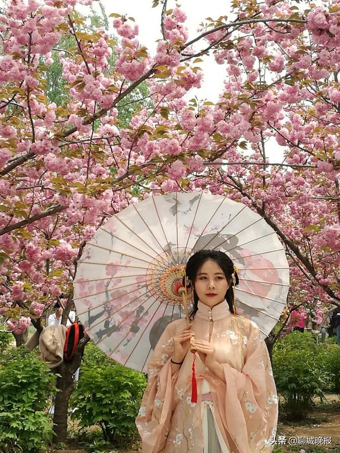 金匮公园看樱花游玩攻略,聊城姜堤乐园樱花什么时候开