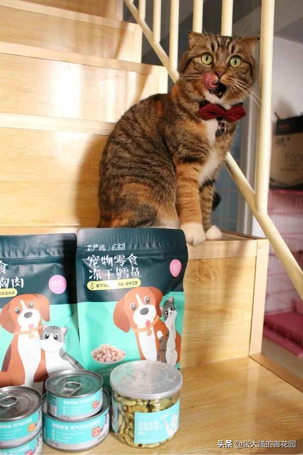 网易严选猫罐头试吃,猫咪零食罐头网易严选