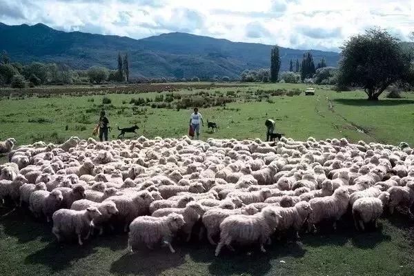酷皓品牌护肤品,酷皓系列