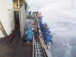 钓鱼的方法可以一秒钓到鱼,钓鱼变成荒野求生