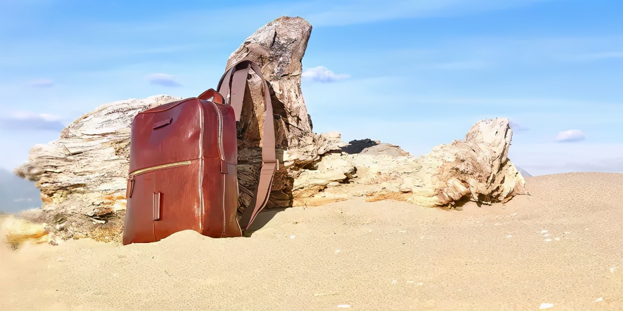 thebridge包新款图片,thebridge包是什么档次