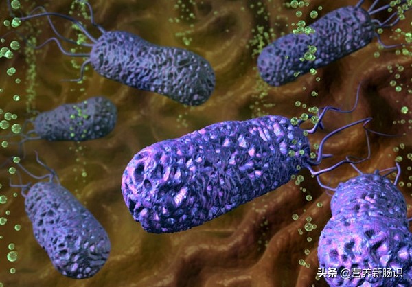 抗幽门螺杆菌能用一种抗生素吗,对付幽门螺旋杆菌的方法有哪些