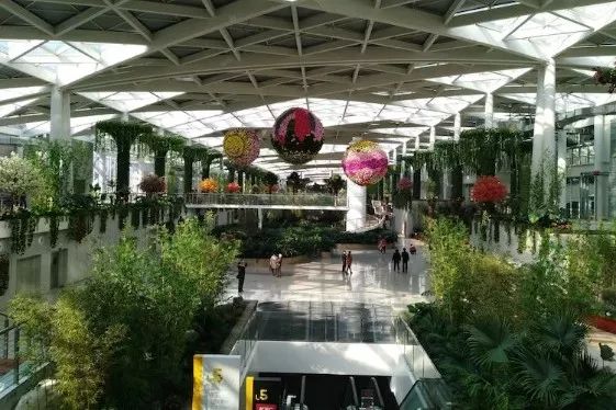 大连买花到哪里,大连网络买花花店