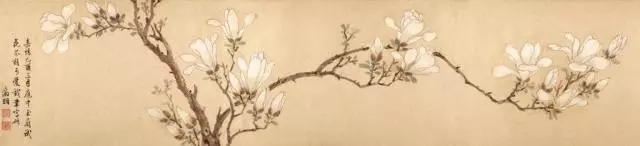 如此高花白于雪,年年偏是斗风开。盛开在诗词中的玉兰花