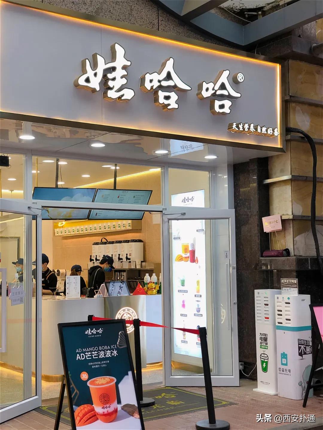 爷青结和爷青回出自哪里,娃哈哈奶茶店西安
