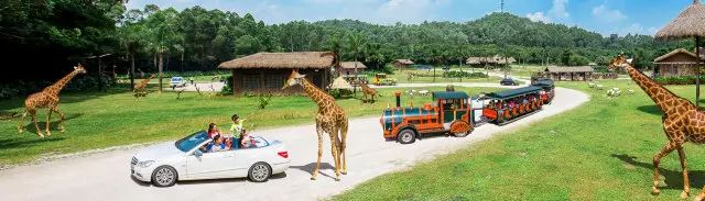 广州生日当天凭身份证有什么优惠,生日福利广州攻略清单