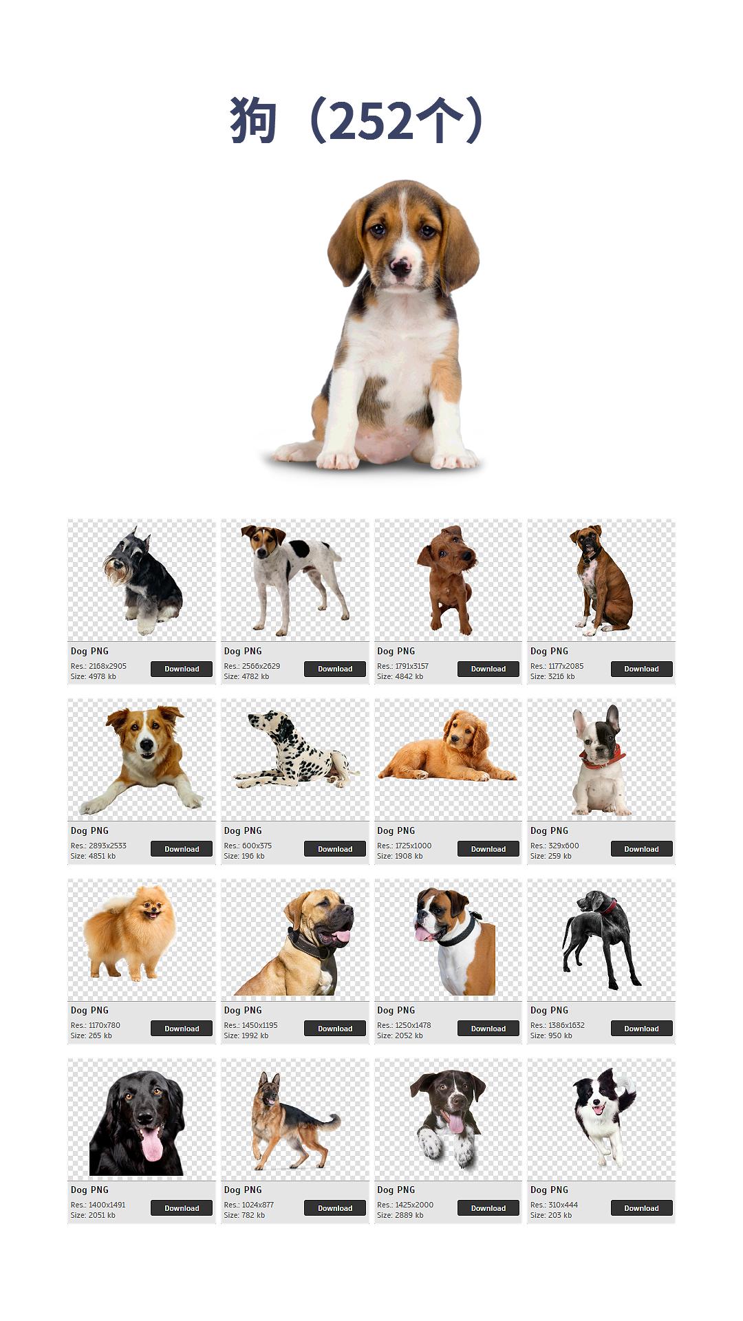 不用裁剪视频素材免费无水印,png抠图素材100个免费下载