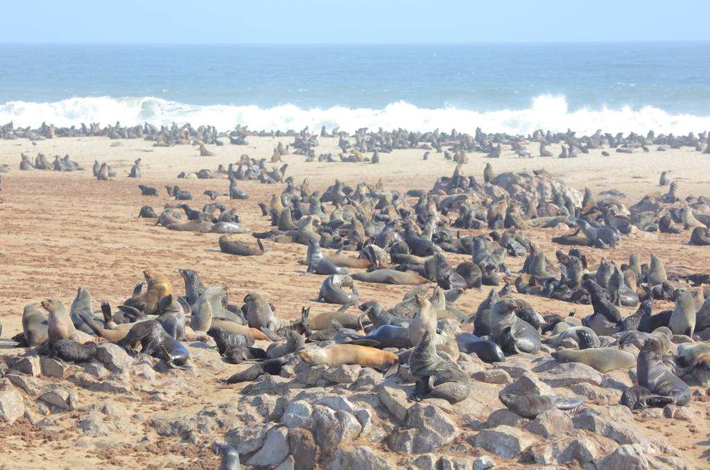 人均GDP非洲前列的纳米比亚，1/3国民却长期处于饥饿状态