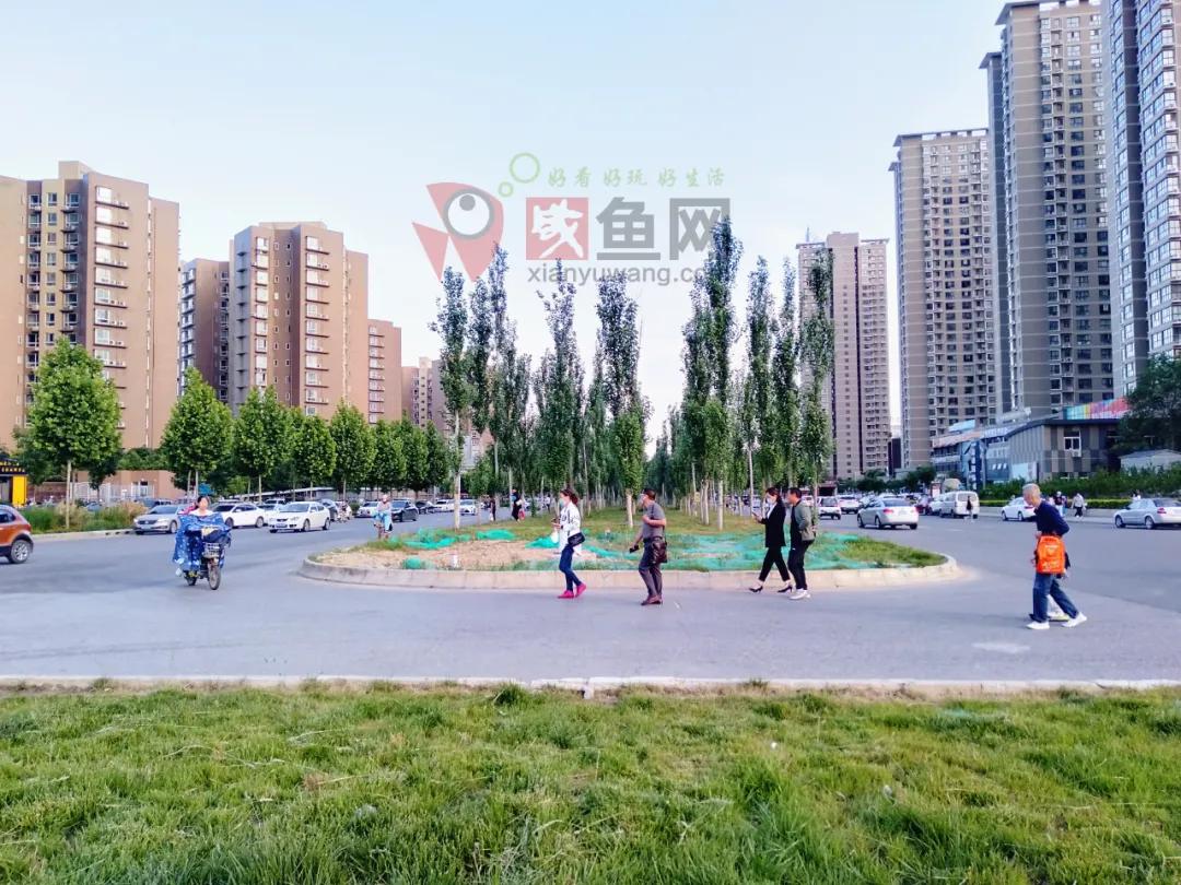 渭河南岸最新消息,渭河南岸沿线最新消息