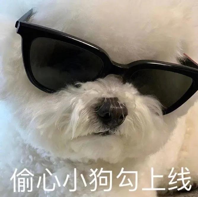 狗子掉毛红色,狗子掉毛皮肤发红是怎么回事