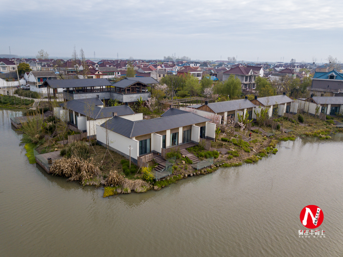 兴化三日游自驾游路线,去兴化看油菜花海攻略