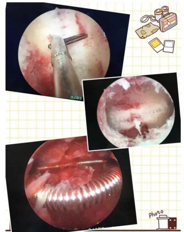 五四青年节筑梦未来,五四青年节奋斗青春筑梦未来