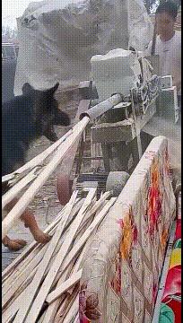 玉米地发现不明液体怎么办,玉米地发现的怪事