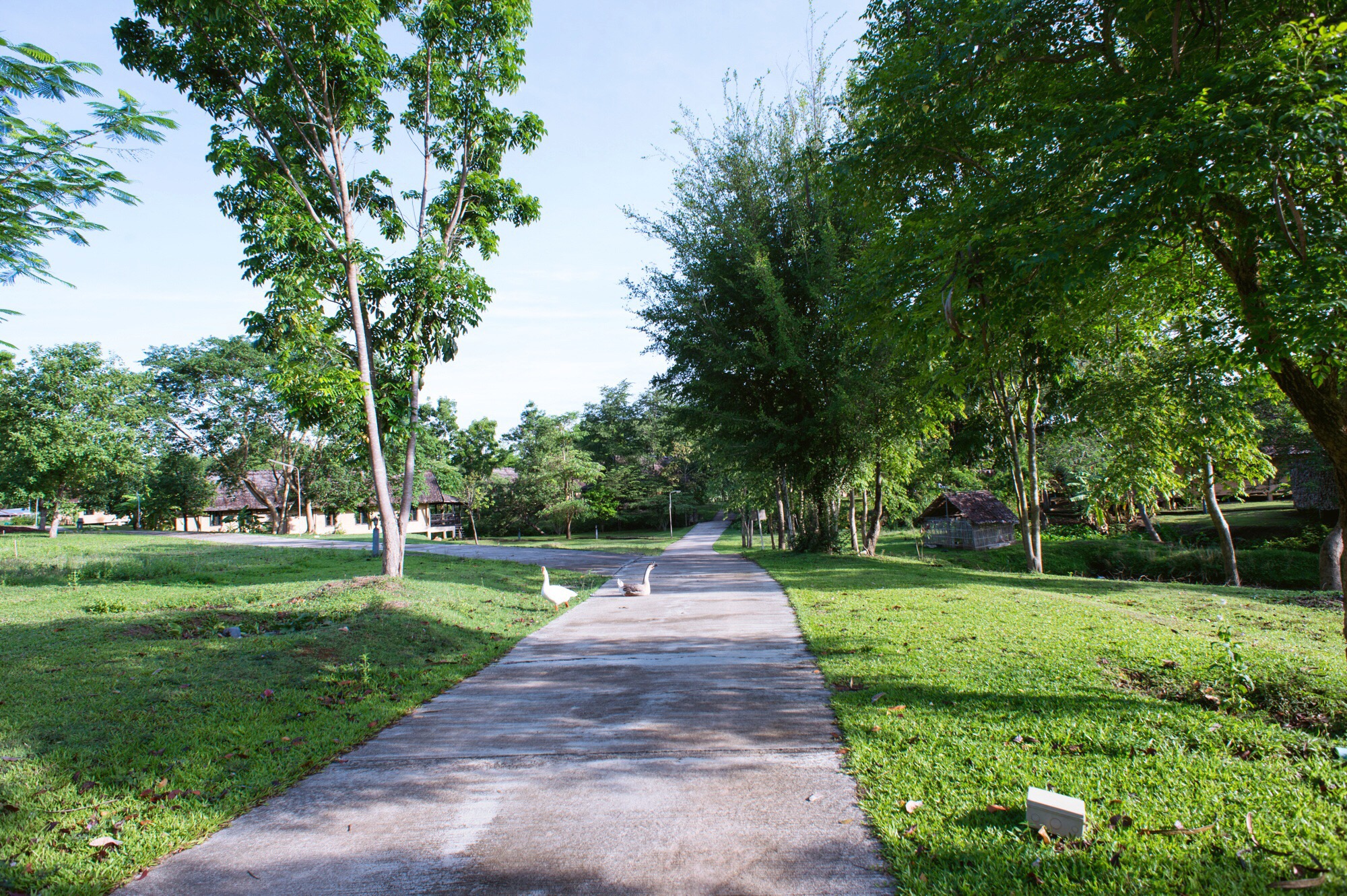 泰国拜县田园式酒店，你向往的诗和远方就藏在这里，一晚不到200