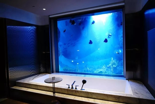 上海深坑酒店水下景观套房,深坑酒店洲际超豪华房水下景观