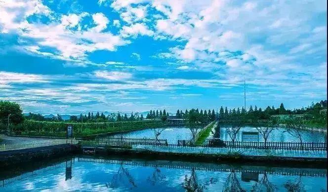 假期到处堵,周末双休哪里旅游堵