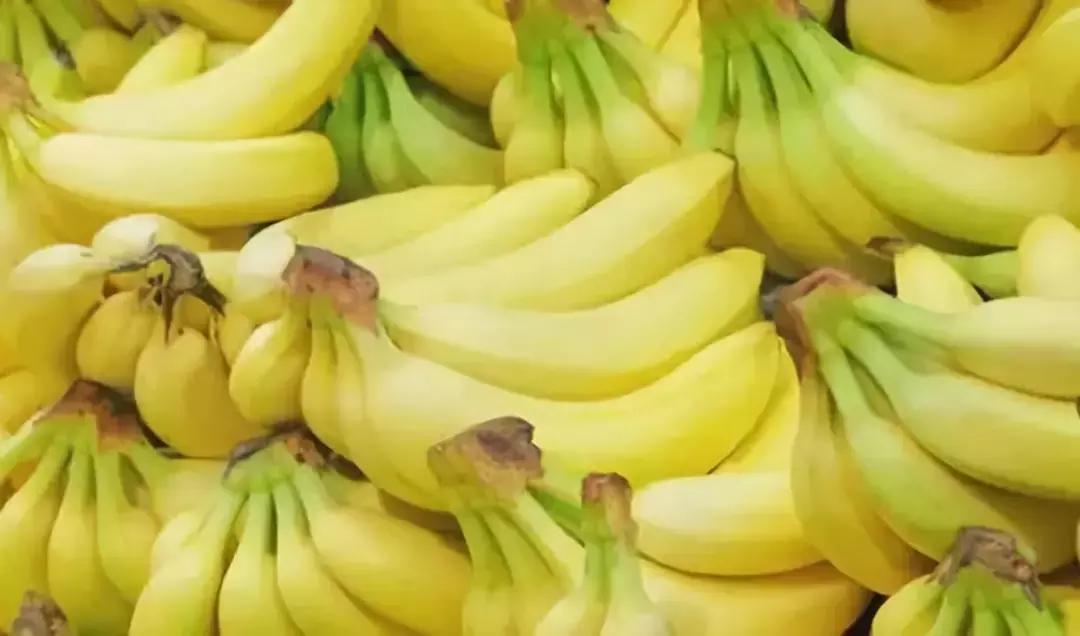 长白岛菜价,长白岛的菜价