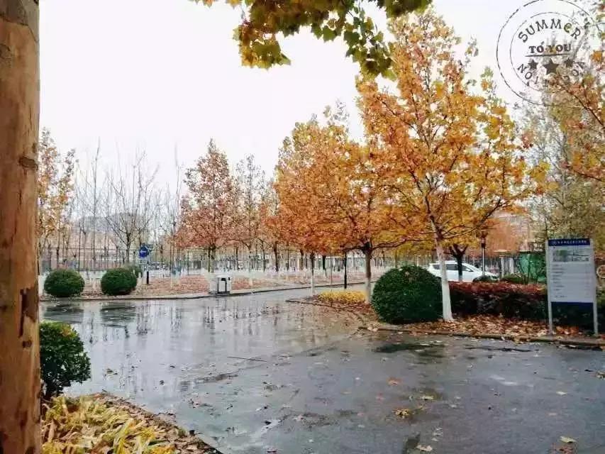 北京科技大学天津学院原独立学院,北京科技大学天津学院独立学院