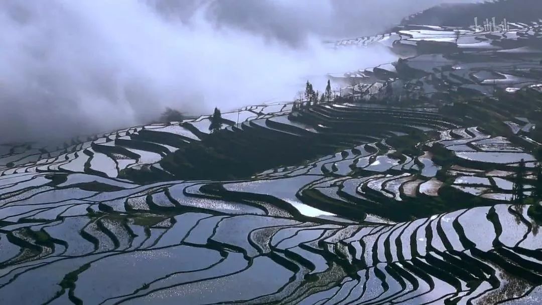 72TED人类学推荐纪录片01《我是中国的孩子》